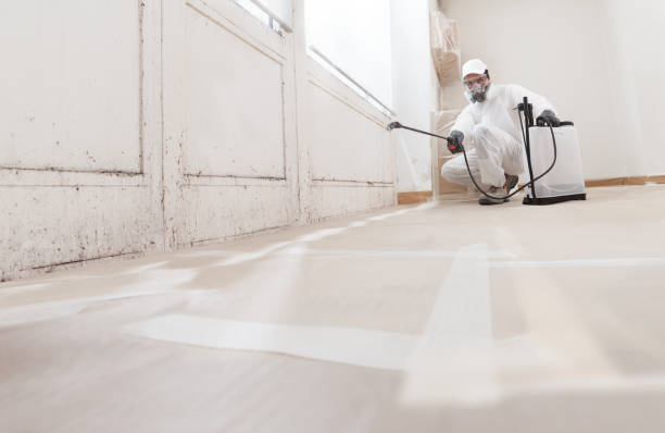 24/7 Emergency Mold Remediation experts in North Bend, WA
